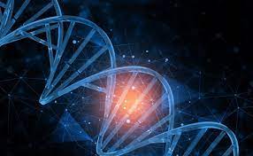 Crean estimulador genético para abordar enfermedades crónicas como la diabetes imagen 1