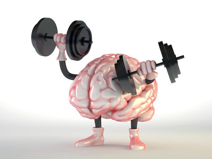 Potenciando la Memoria: Estrategias para un Cerebro Saludable imagen 1