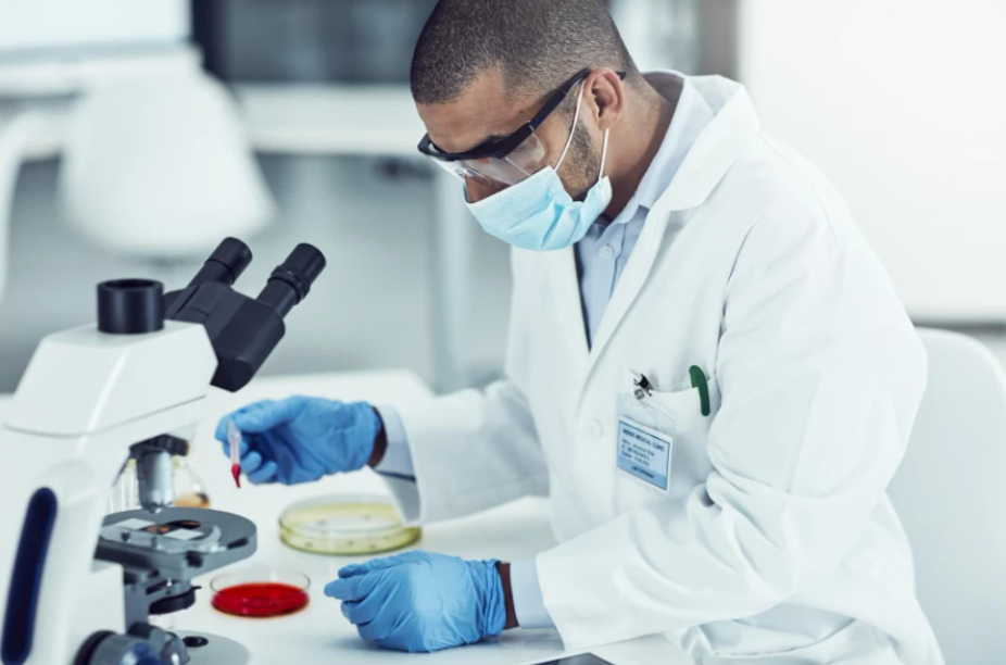 Día Mundial de la Veterinaria: Contribuciones recientes de la medicina veterinaria española en el último año imagen 1