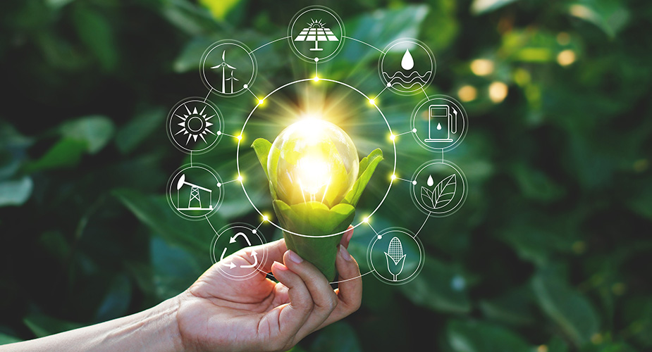 CONCIENCIA COLECTIVA EN TORNO AL DESARROLLO SOSTENIBLE imagen 1