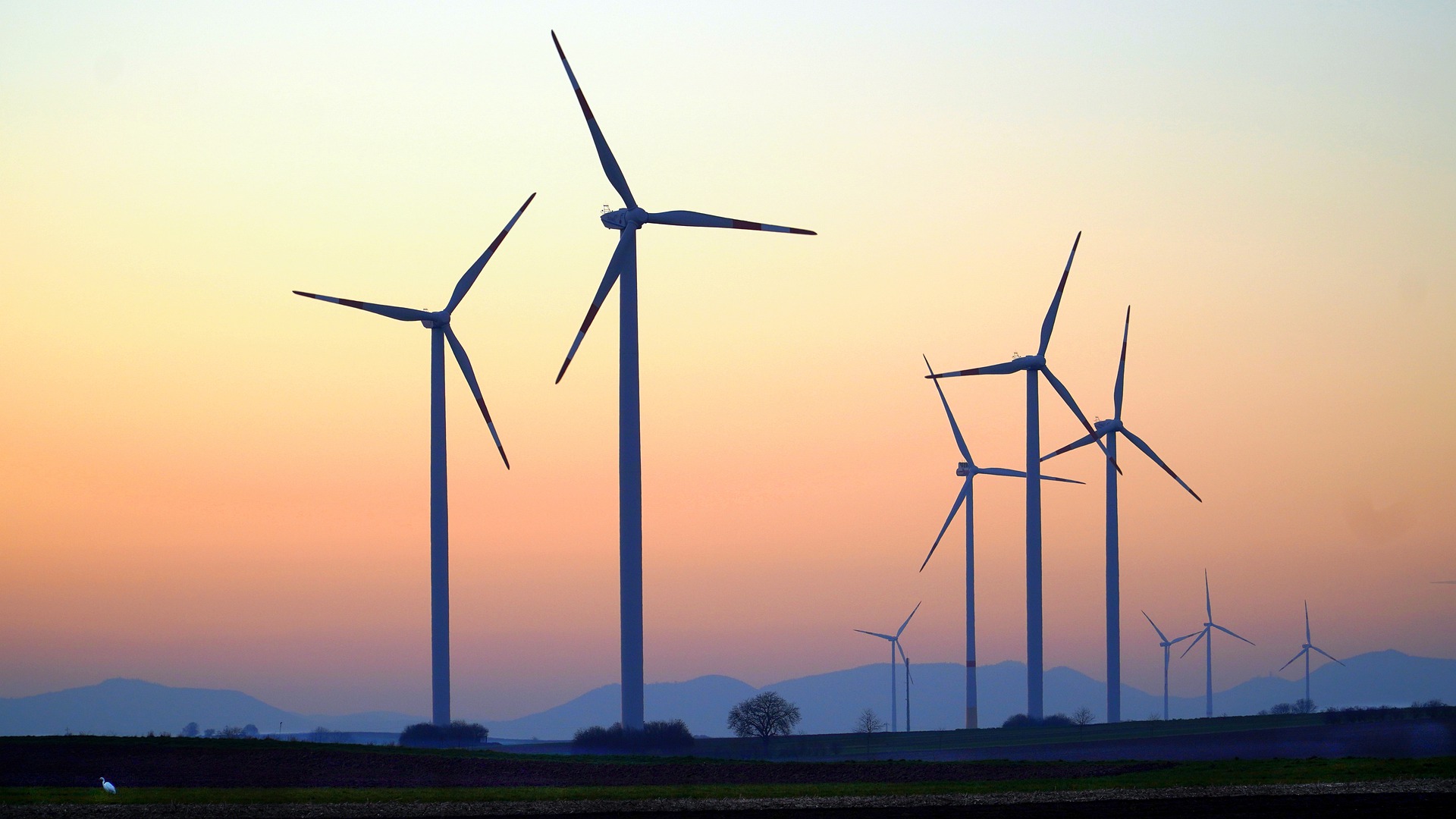 Maestría en Gestión de la Energía y Sostenibilidad