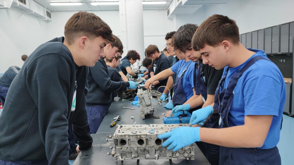 Títulos de Formación Profesional con amplias oportunidades de empleo en las Islas Canarias imagen 1