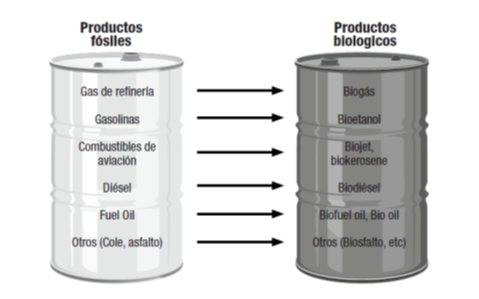 BIOCOMBUSTIBLES AL ALZA imagen 1