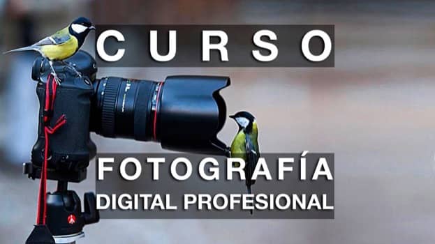 Fotografía Profesional