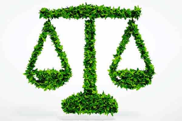 Máster Universitario en Derecho Ambiental foto 1