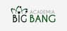 ACADEMIA BIG BANG