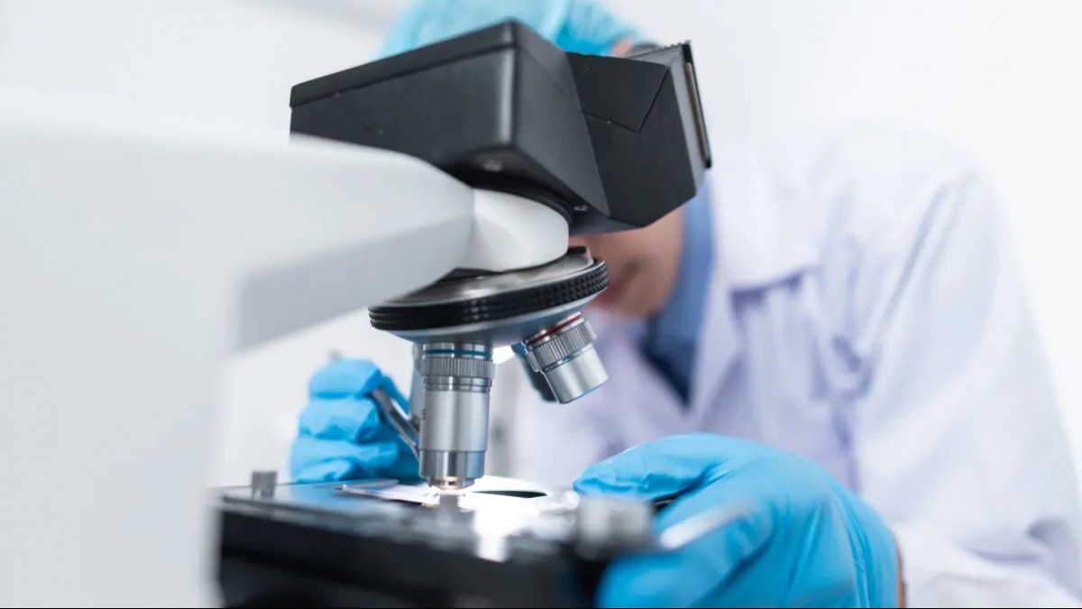 POSTGRADO EN BIOINFORMATICA GENOMICA Y BIOLOGIA ESTRUCTURAL