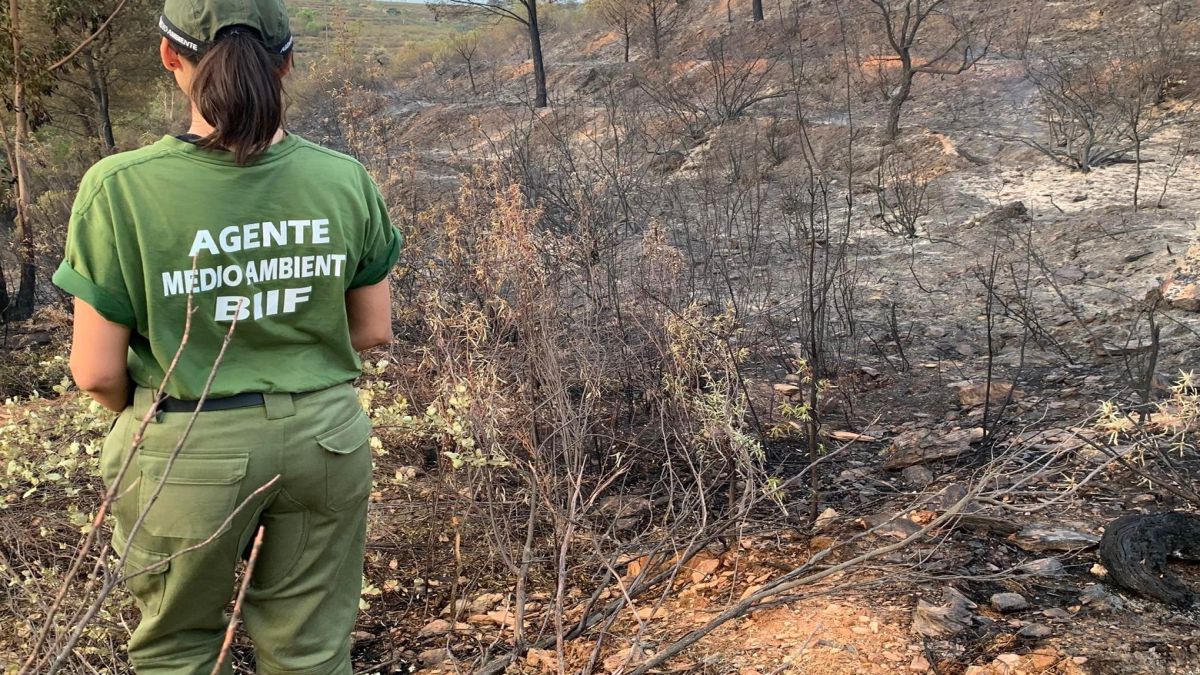 OPOSICIONES GUARDA FORESTAL DE LA DIPUTACIO PROVINCIAL DE BARCELONA