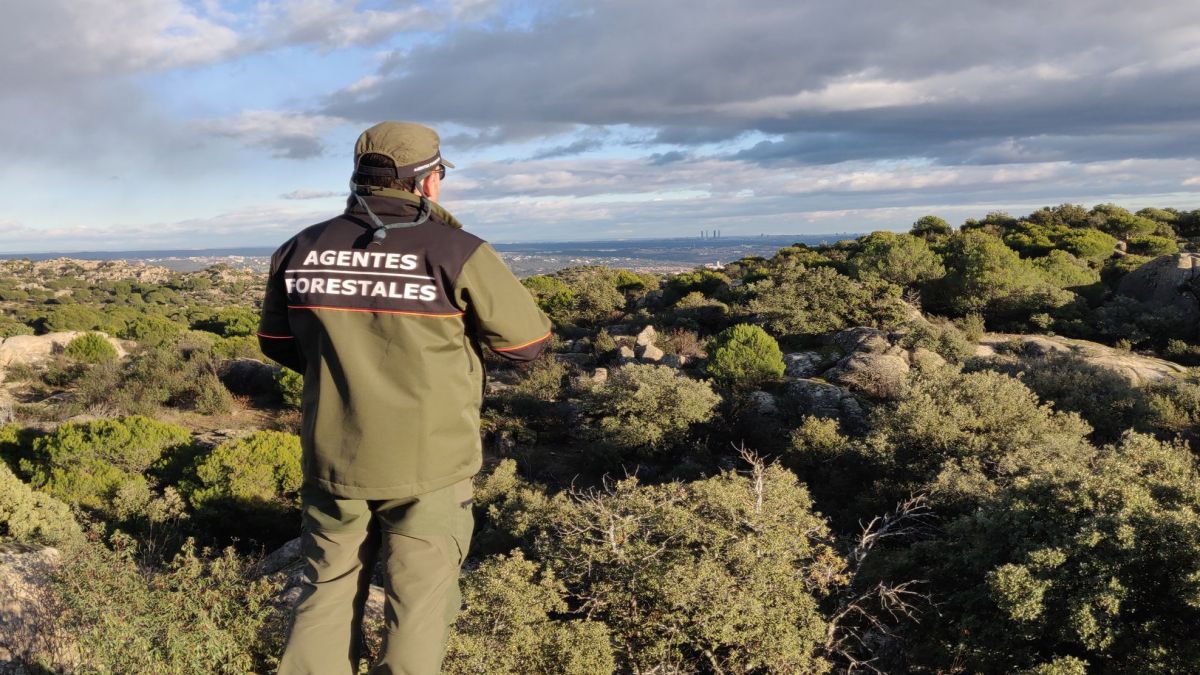 OPOSICIONES AGENTE MEDIOAMBIENTAL DE LA GENERALITAT VALENCIANA
