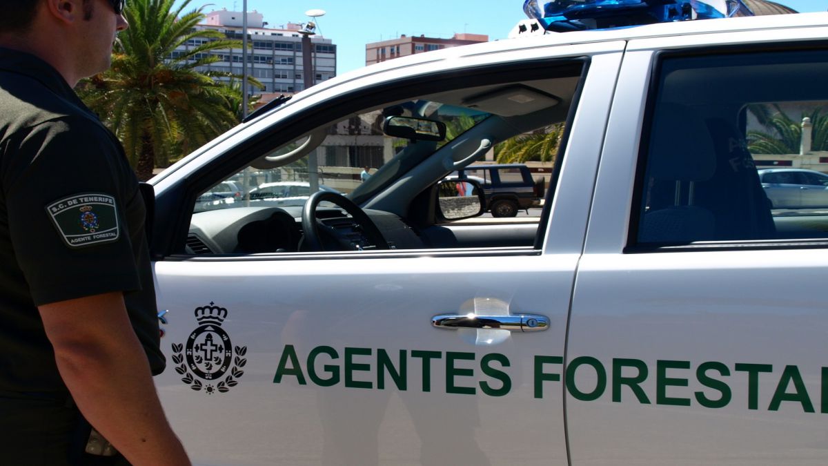 OPOSICIONES DE AGENTE FORESTAL PARA LA CCAA DE ARAGON