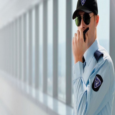 Postgrado de Vigilante de Seguridad en Centros Comerciales+ Titulación Universitaria