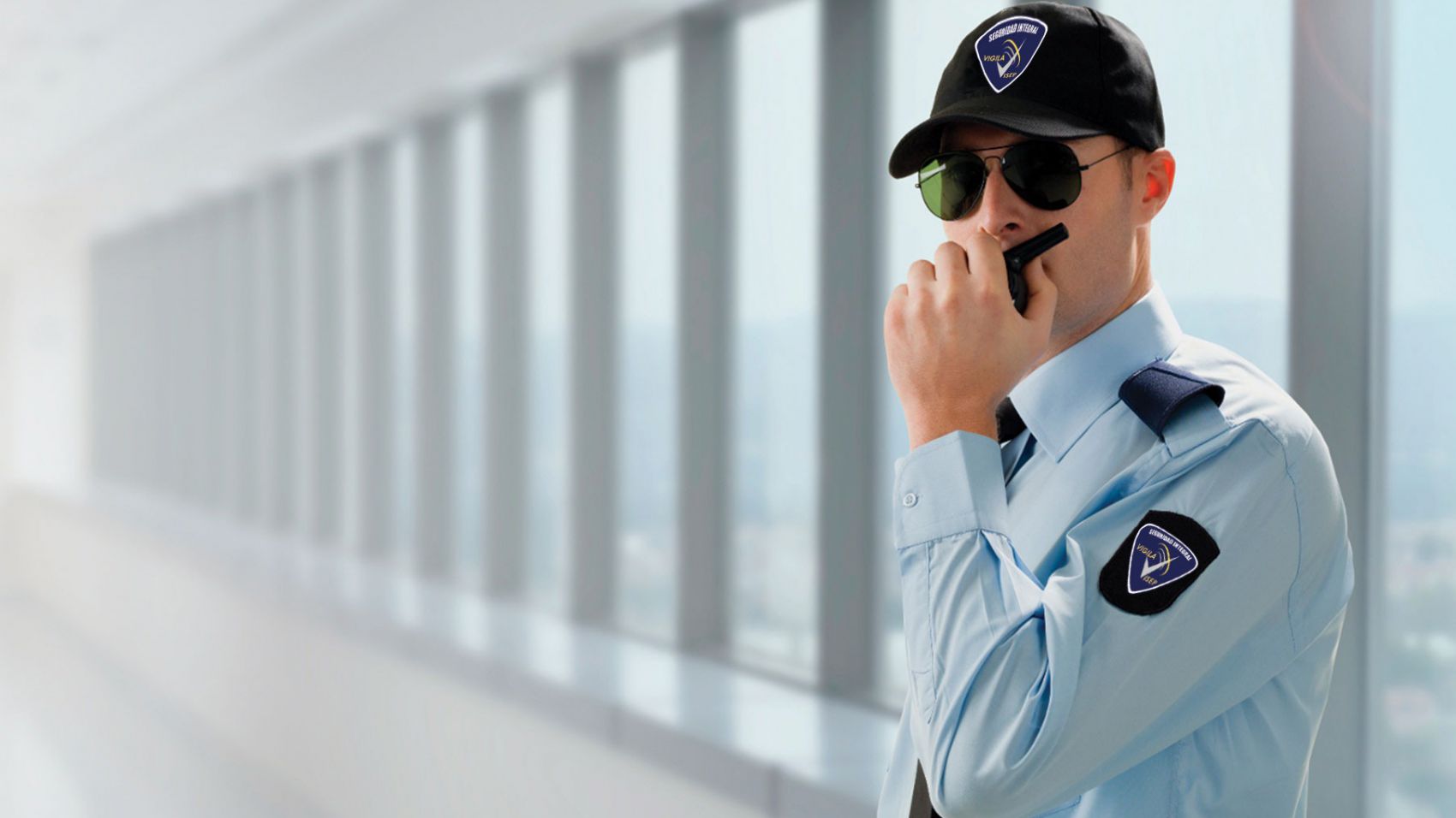 Cursos de Vigilante Online