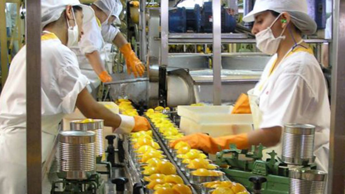 MASTER UNIVERSITARIO EN SEGURIDAD ALIMENTARIA