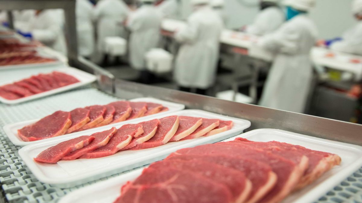 CURSO PRACTICO DE AUDITORES DEL PROTOCOLO IFS V5 DE SEGURIDAD ALIMENTARIA