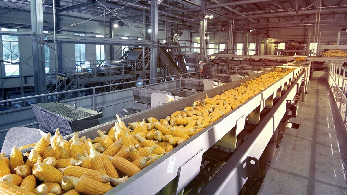 MASTER UNIVERSITARIO EN SEGURIDAD ALIMENTARIA