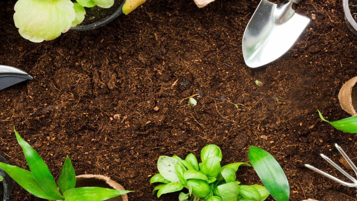 CURSO DE TECNICO EN MANTENIMIENTO DE JARDINERIA