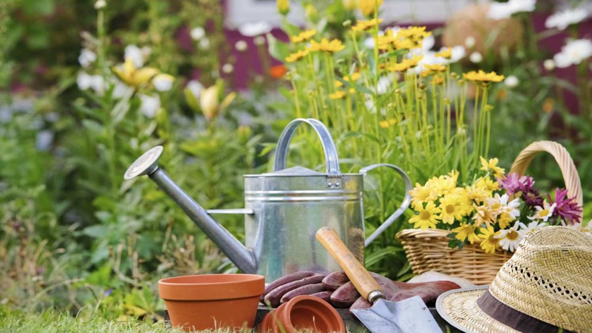 INSTALACION Y MANTENIMIENTO DE JARDINES Y ZONAS VERDES