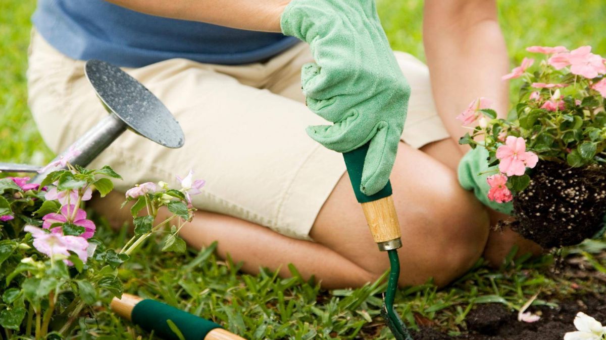 CURSO DE TECNICO EN JARDINES DISENO CREACION Y MANTENIMIENTO DE JARDINES