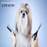 Sé un Groomer y aprende la técnicas necesarias para cada raza y cada tipo de pelo