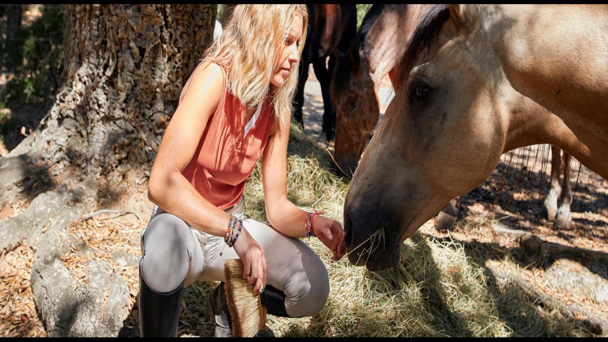 CURSO AUXILIAR VETERINARIO ECUESTRE