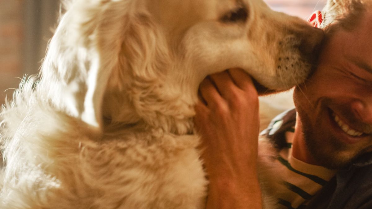 MASTER EN CUIDADOS AUXILIARES Y ESTETICA VETERINARIA