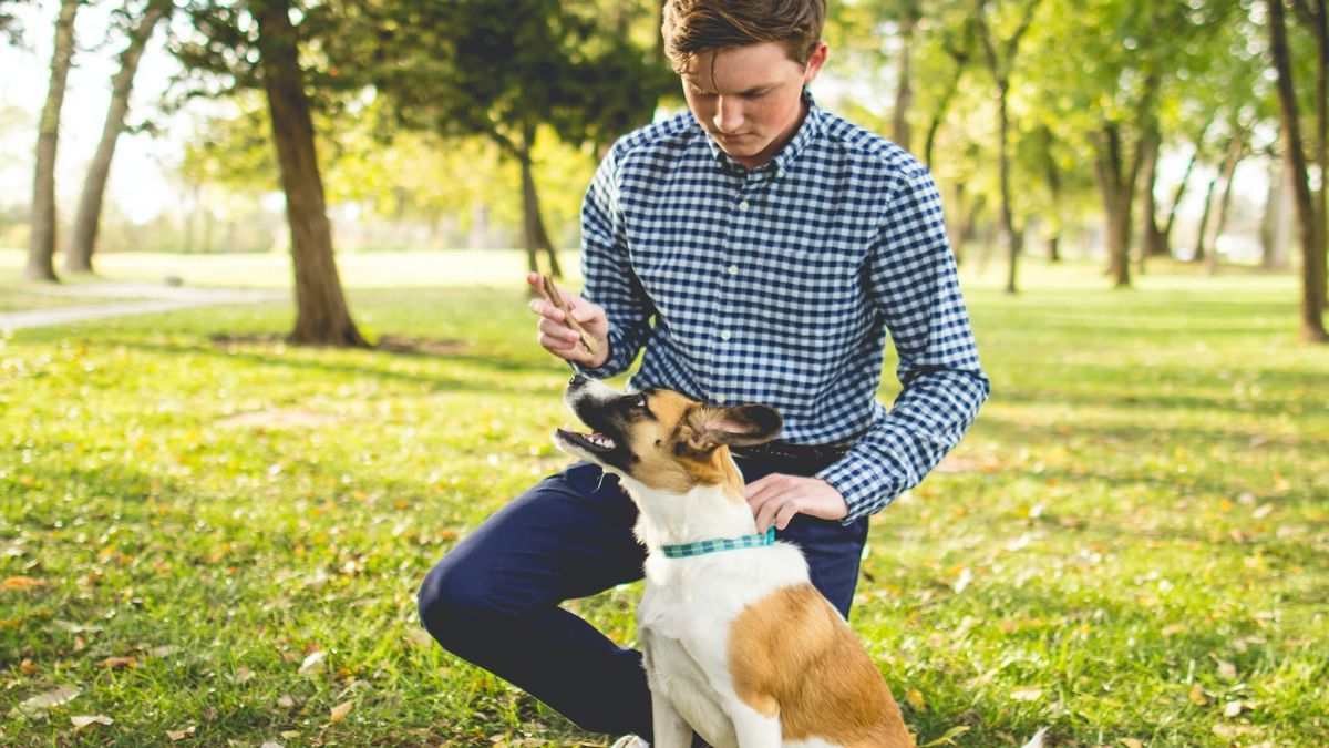 CUIDADOR DE ANIMALES SALVAJES