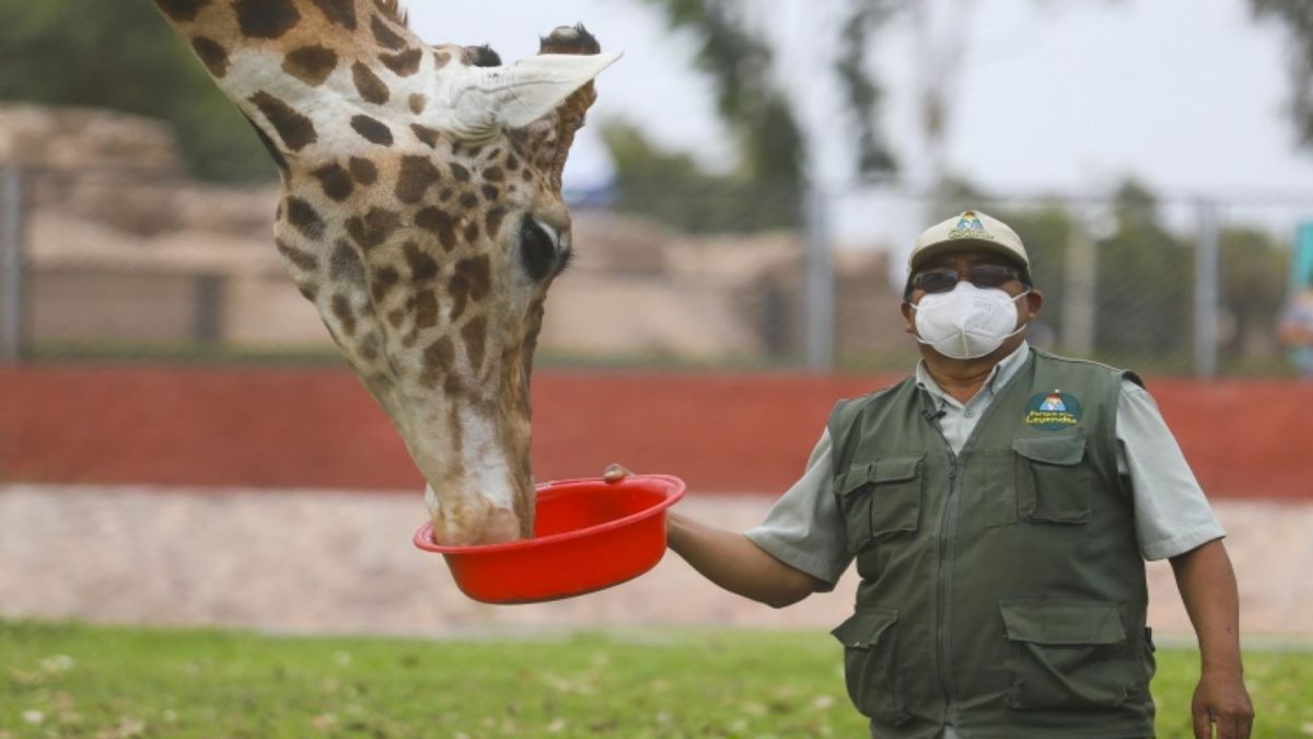 CURSO DE CUIDADOR DE ANIMALES DE ZOOLOGICO - CON PRACTICAS