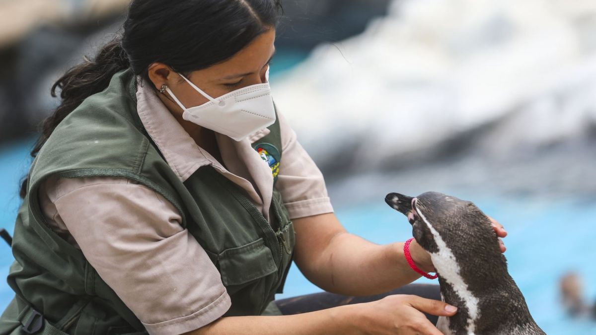 CURSO BIENESTAR ANIMAL