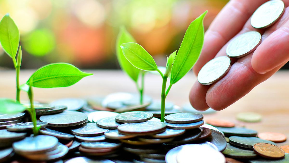 CURSO EXPERTO EN GESTION DEL IMPUESTO SOBRE LA RENTA DE LAS PERSONAS FISICAS E IMPUESTO SOBRE EL PATRIMONIO