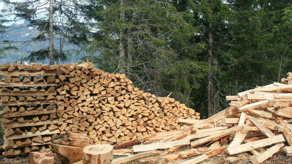 FP EN APROVECHAMIENTO Y CONSERVACION DEL MEDIO NATURAL