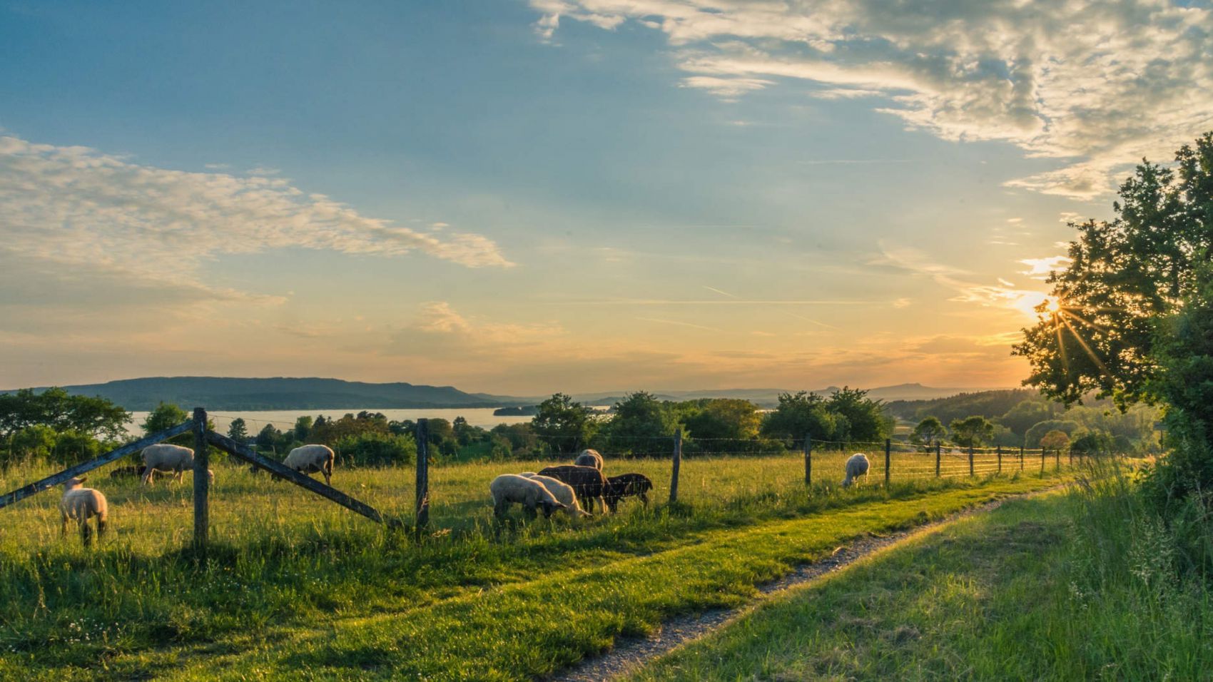 Cursos de Paisajismo y Medio Rural