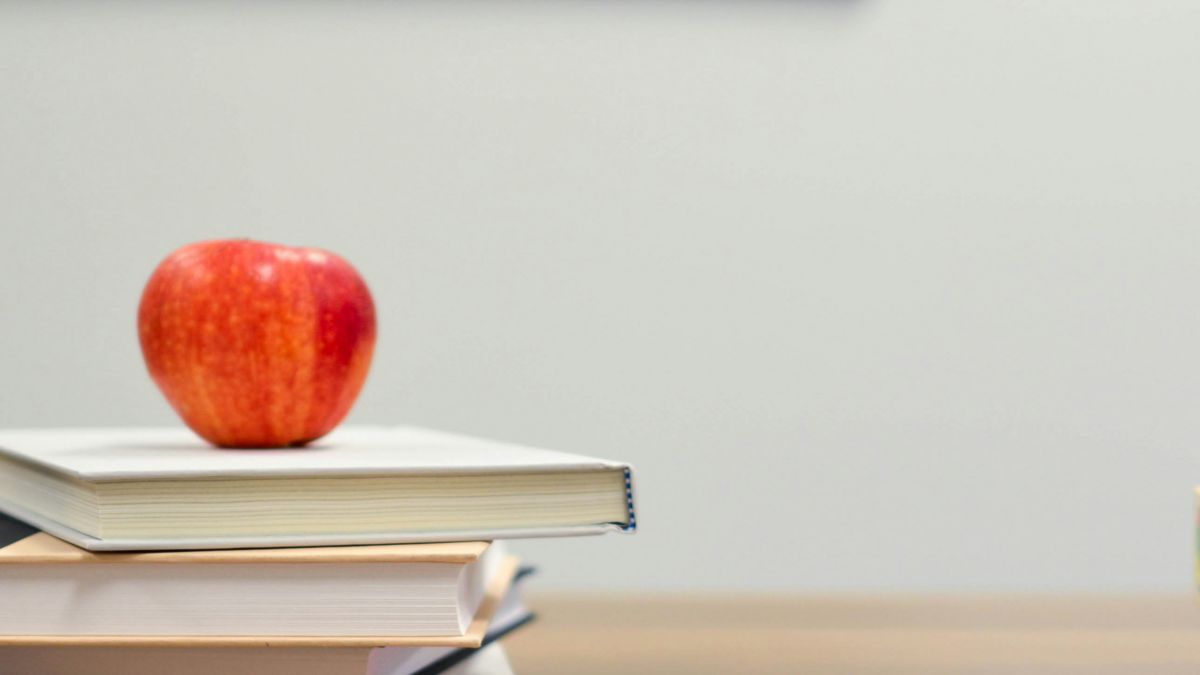 GRADO EN EDUCACION INFANTIL