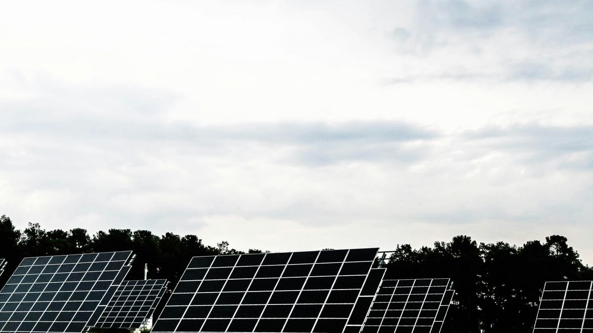 MASTER EN GESTION Y DESARROLLO DE ENERGIAS RENOVABLES