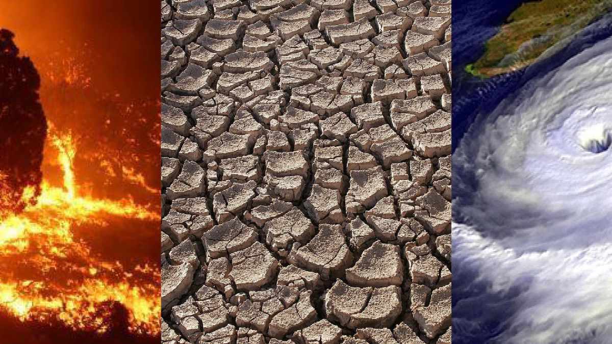 MASTER EN CAMBIO CLIMATICO