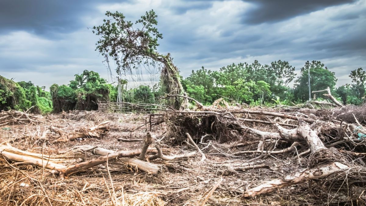 MASTER EN EVALUACION DEL IMPACTO MEDIOAMBIENTAL
