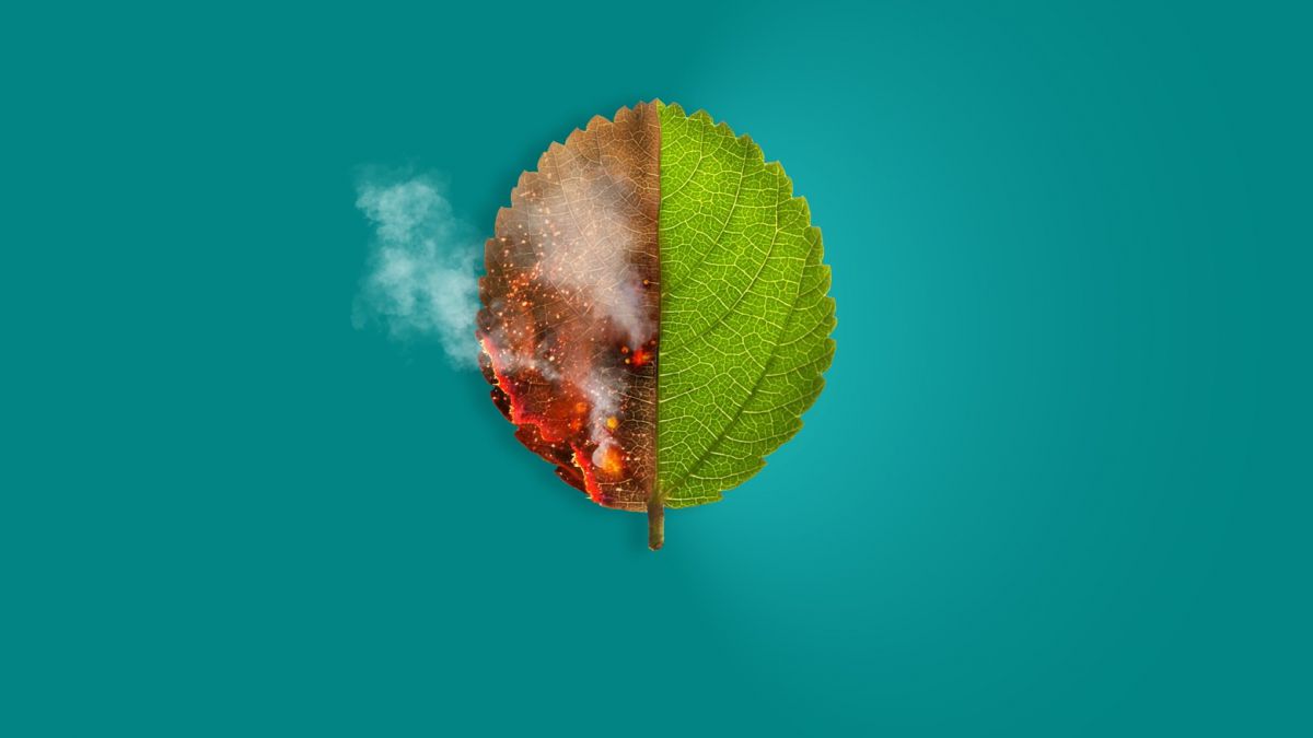 CURSO DE EXPERTO EN EVALUACION DE IMPACTO AMBIENTAL Y ENERGIA EOLICA