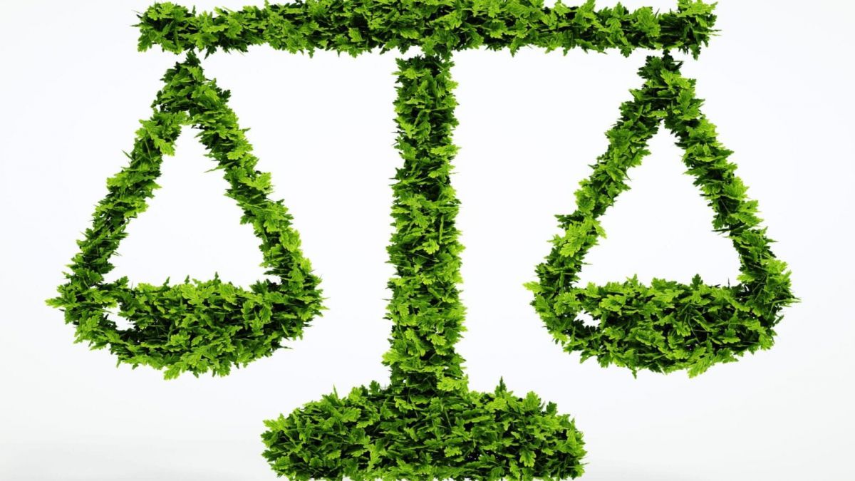 CURSO DE EXPERTO EN LA CONSERVACION DEL MEDIO AMBIENTE