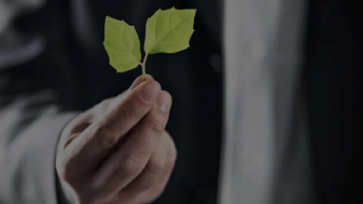 CURSO DE TECNICO EN DERECHO DEL MEDIO AMBIENTE
