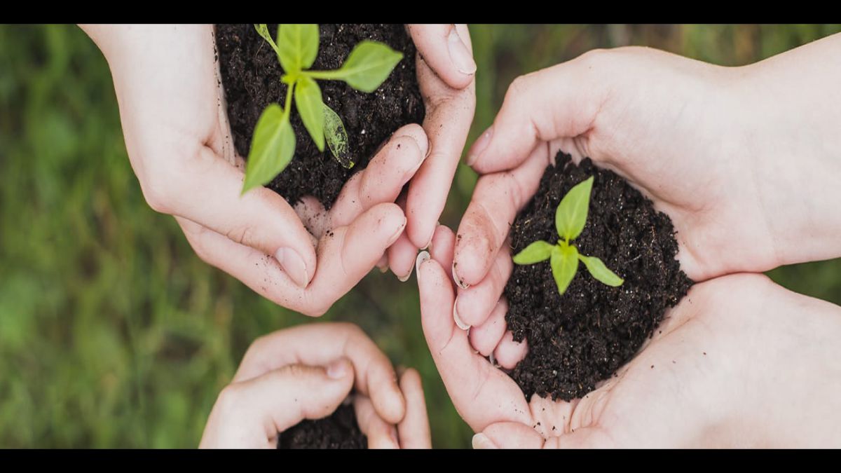 CURSO DE GESTION Y LEGISLACION MEDIOAMBIENTAL