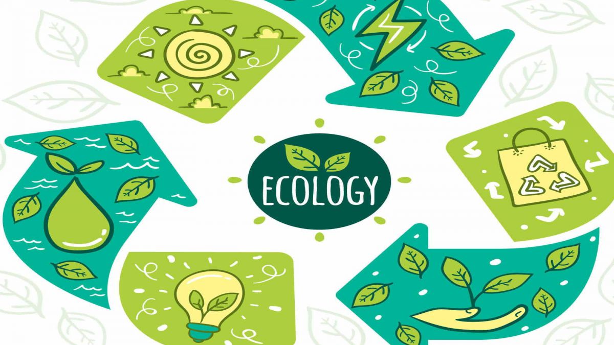 MASTER ONLINE EN MEDIOAMBIENTE Y GESTION DE RESIDUOS
