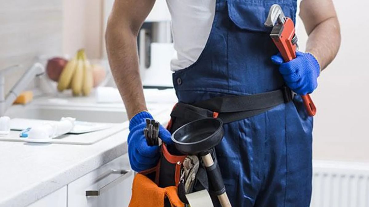 CARNES PROFESIONALES EN INSTALACIONES TERMICAS DE EDIFICIOS Y EN INSTALADOR DE FONTANERIA