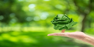Educador ambiental