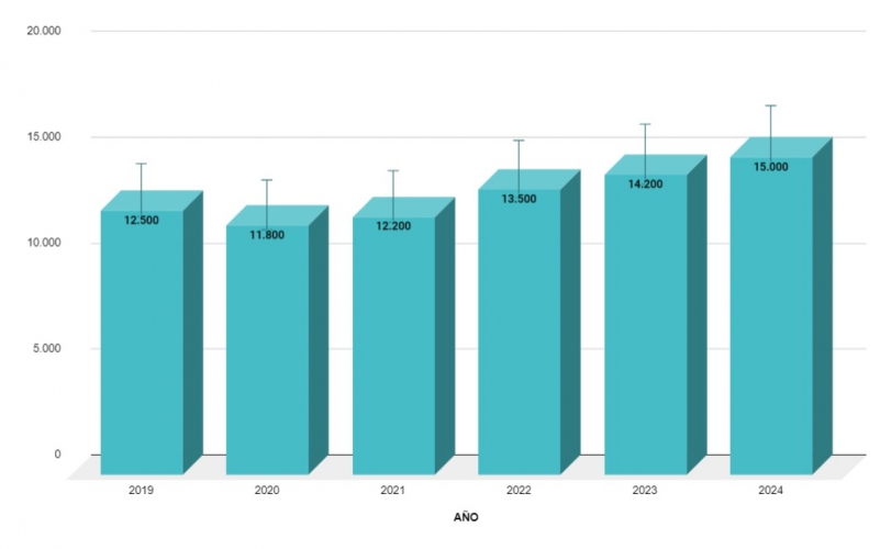 EvoluciÃ³n del NÃºmero de Directores Creativos (2019-2024)