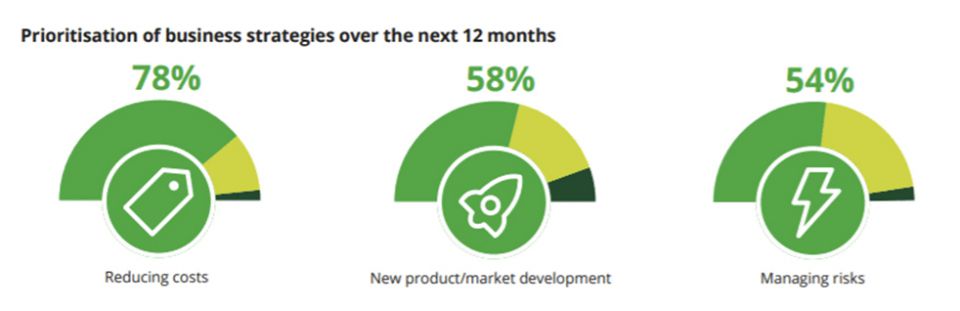Estrategias de optimizaciÃ³n de recursos