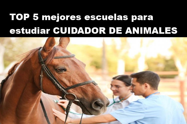 RANKING de las 5 mejores escuelas para estudiar Veterinario Ecuestre en el 2026