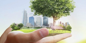 RANKING de las 5 mejores escuelas para estudiar Gestión Ambiental 