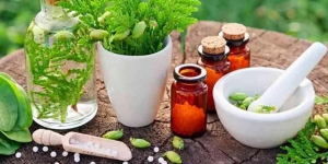 TOP 6 mejores escuelas para estudiar Medicina Alternativa