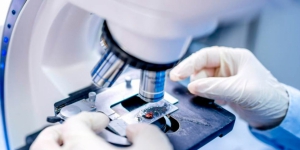 TOP 5 mejores escuelas para estudiar Anatomía Patológica y Citodiagnóstico