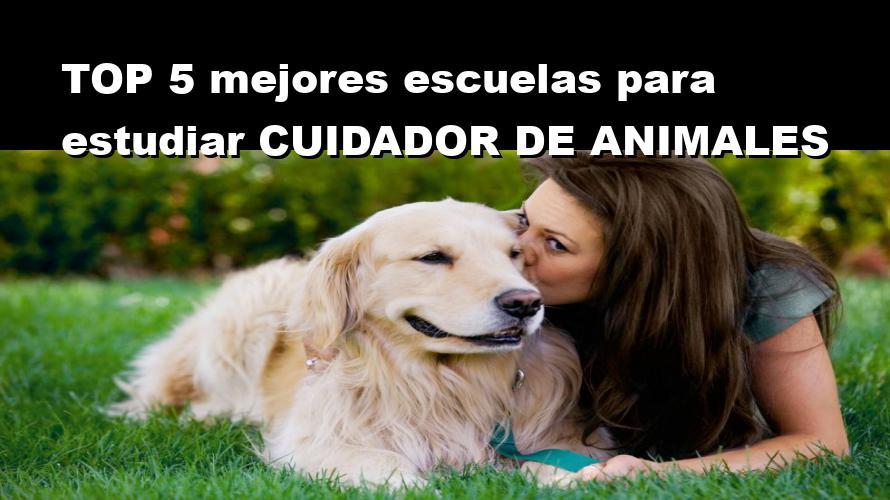 RANKING de las 7 mejores escuelas para formarte en estudios relacionados con animales en el 2024