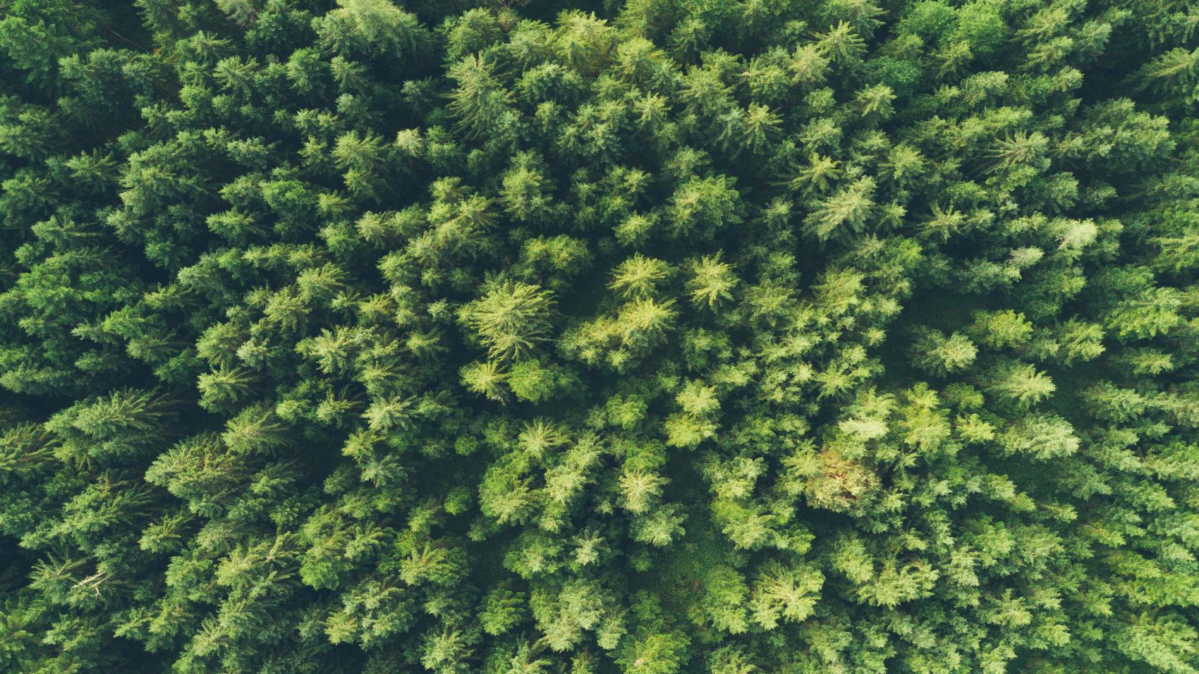 Curso de Gestión Integral de Prevención Calidad y Medioambiente